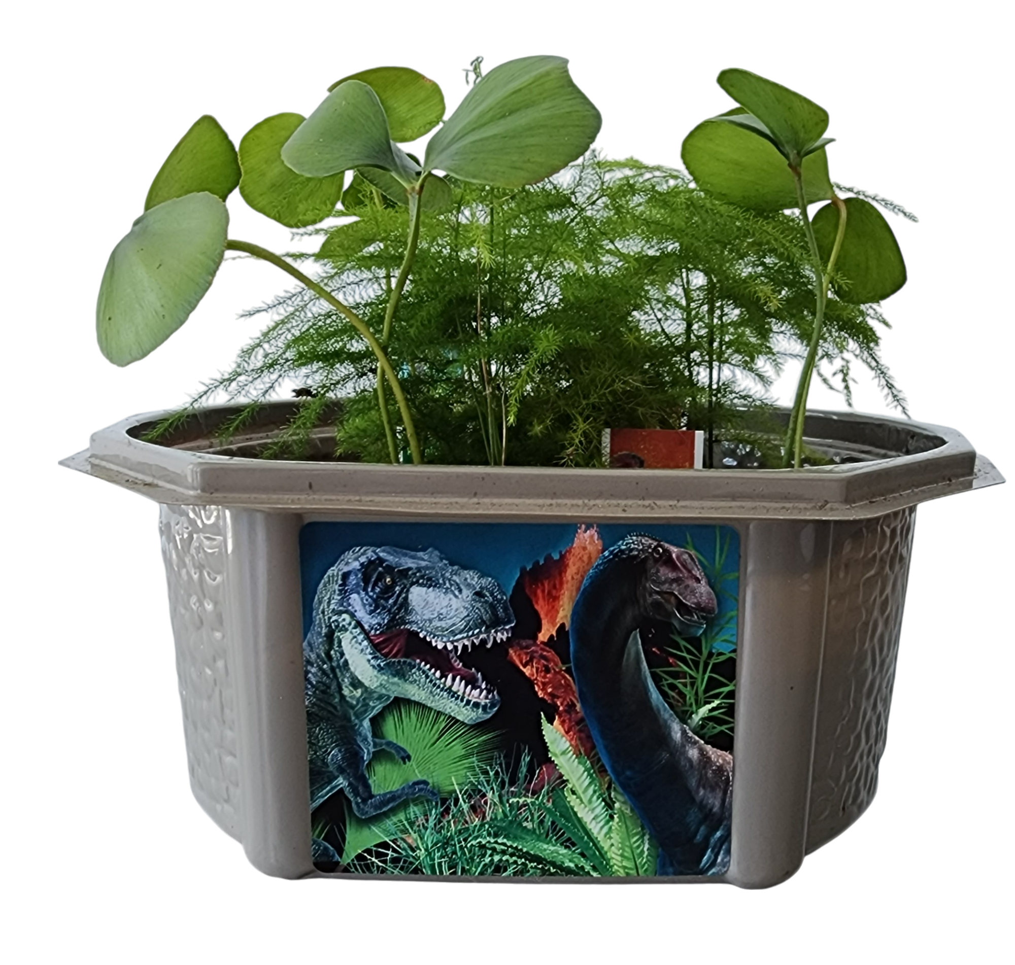 Dinosaur Domain Biosphere Terrarium product image 3