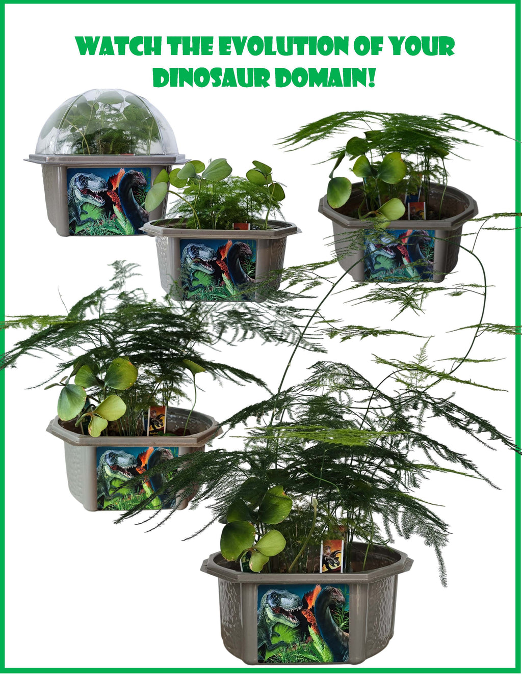 Dinosaur Domain Biosphere Terrarium product image 7