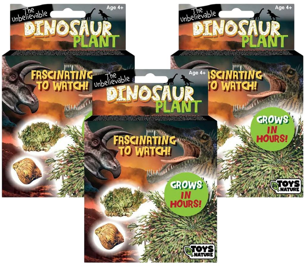 Dinosaur Plant - Multipack of 3 — product image 1