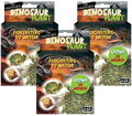 Dinosaur Plant - Multipack of 3 — product image 1
