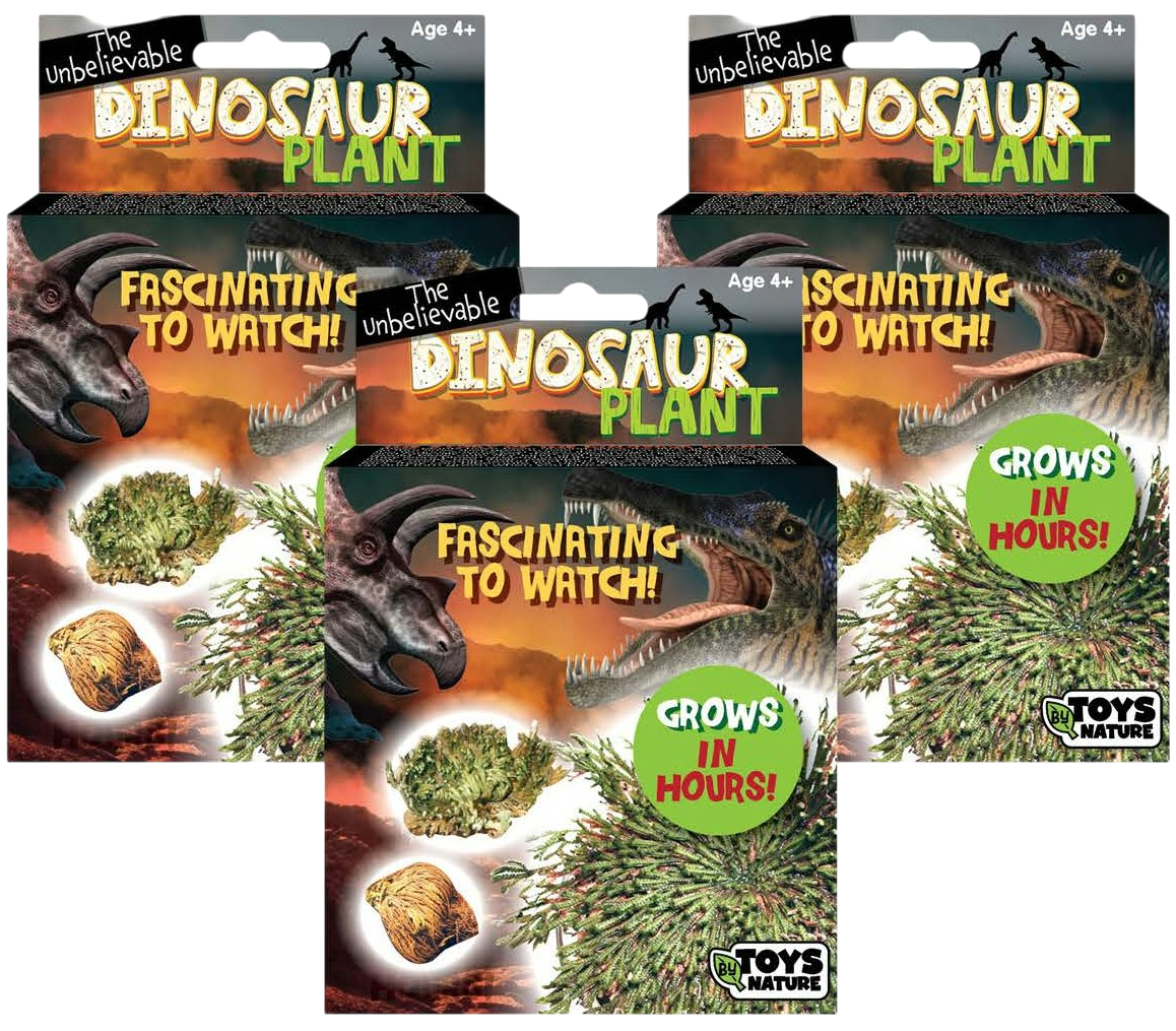 Dinosaur Plant - Multipack of 3 — product image 1