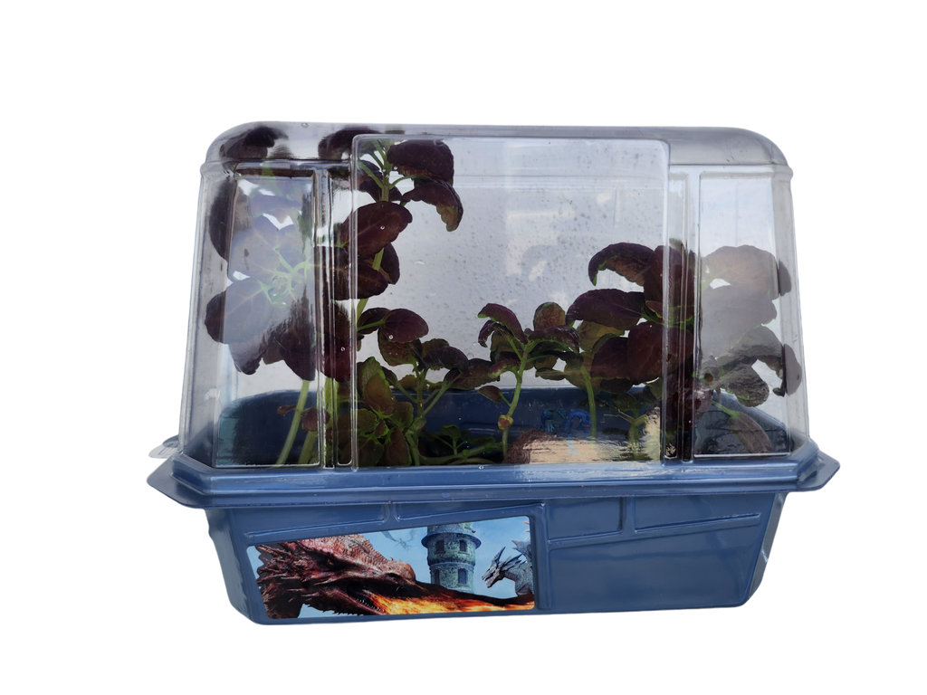 Dragons Den Mini World Terrarium product image 3