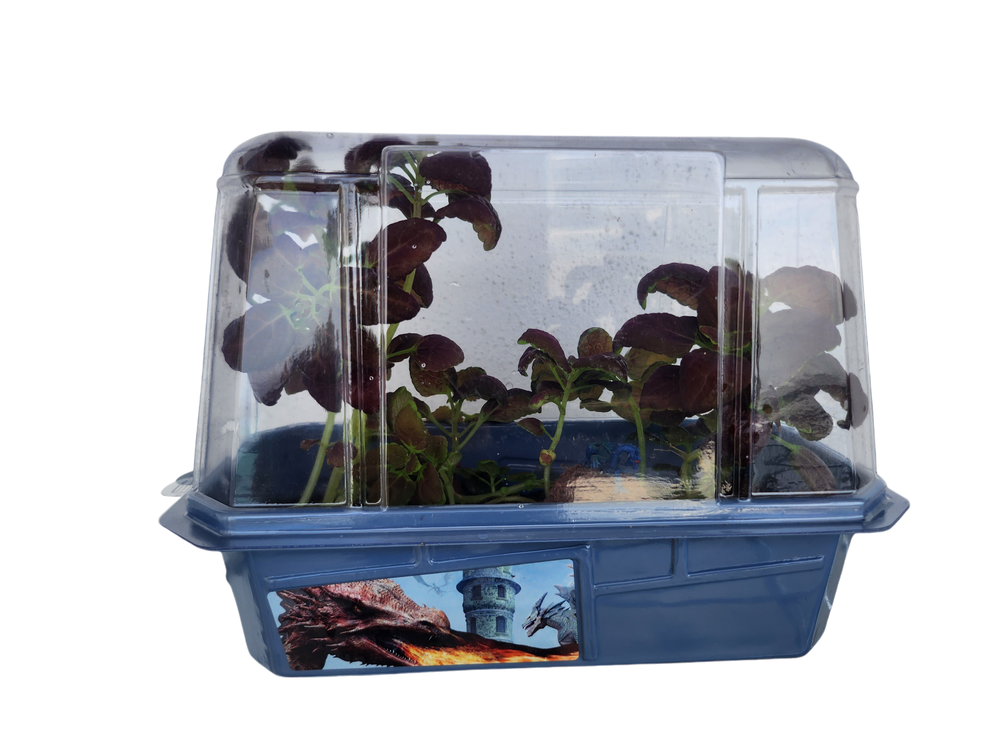Dragons Den Mini World Terrarium product image 3