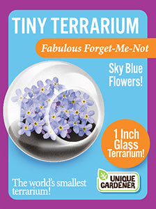 Flowering Tiny Terrariums Bundle - 1 each of 6 Varieties — product image 5