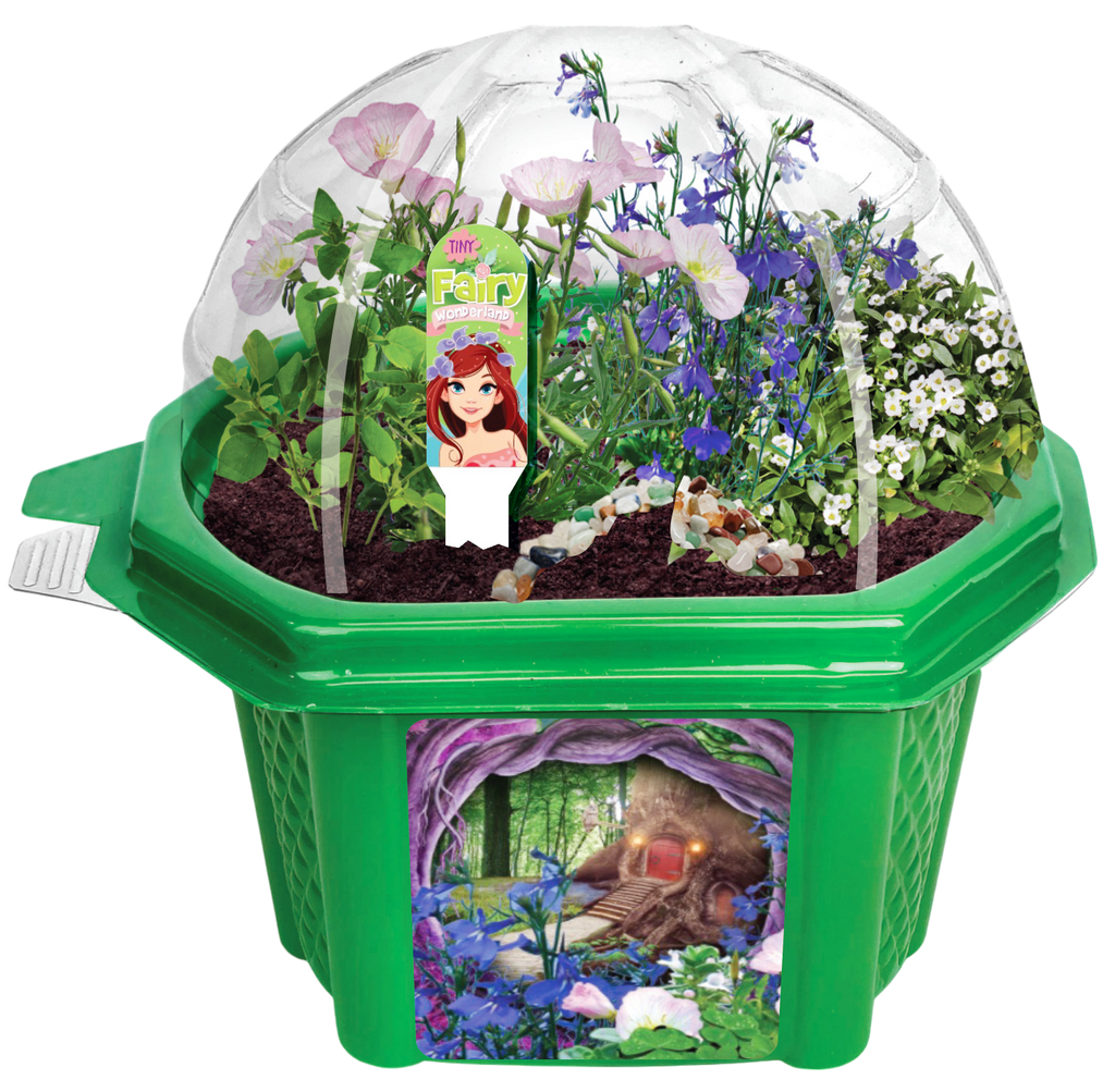 Tiny Fairy Wonderland Micro Dome Terrarium product image 2