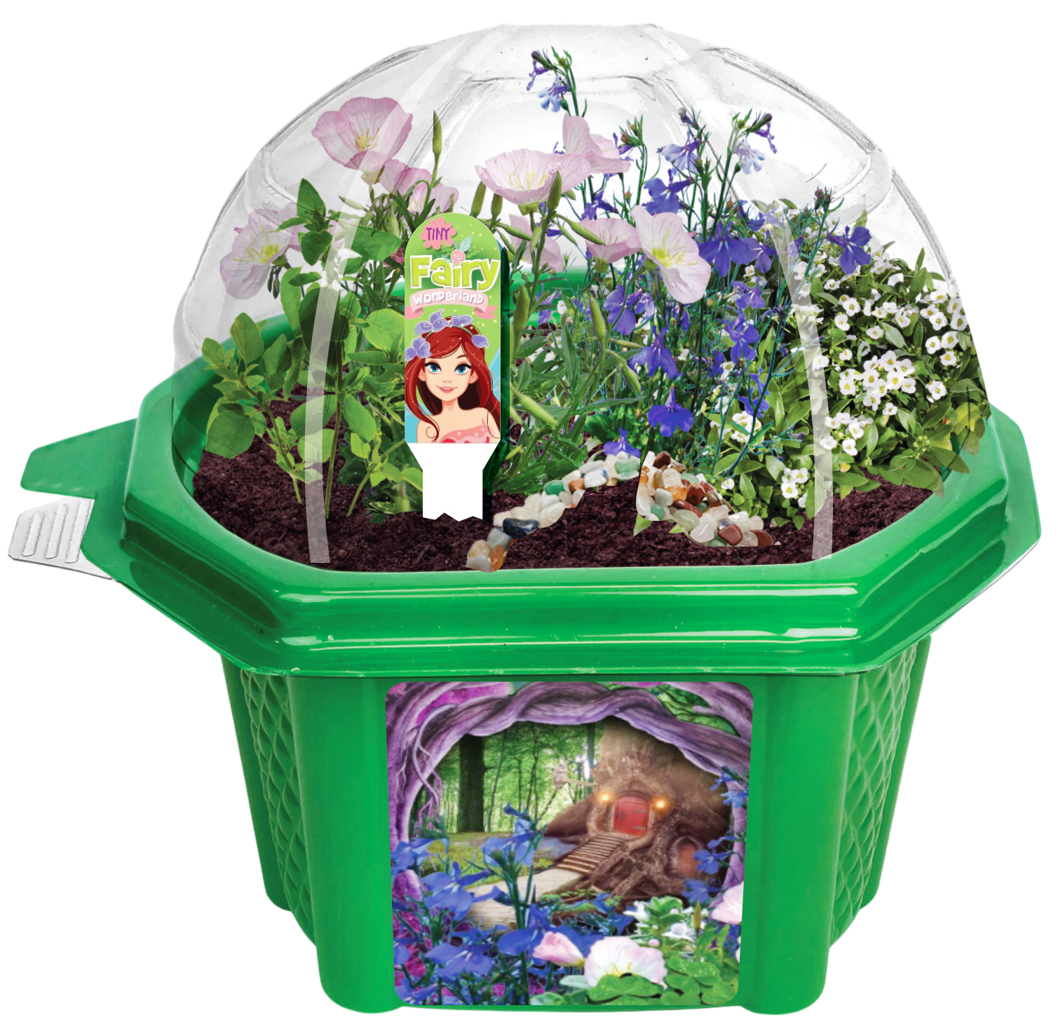 Tiny Fairy Wonderland Micro Dome Terrarium product image 2