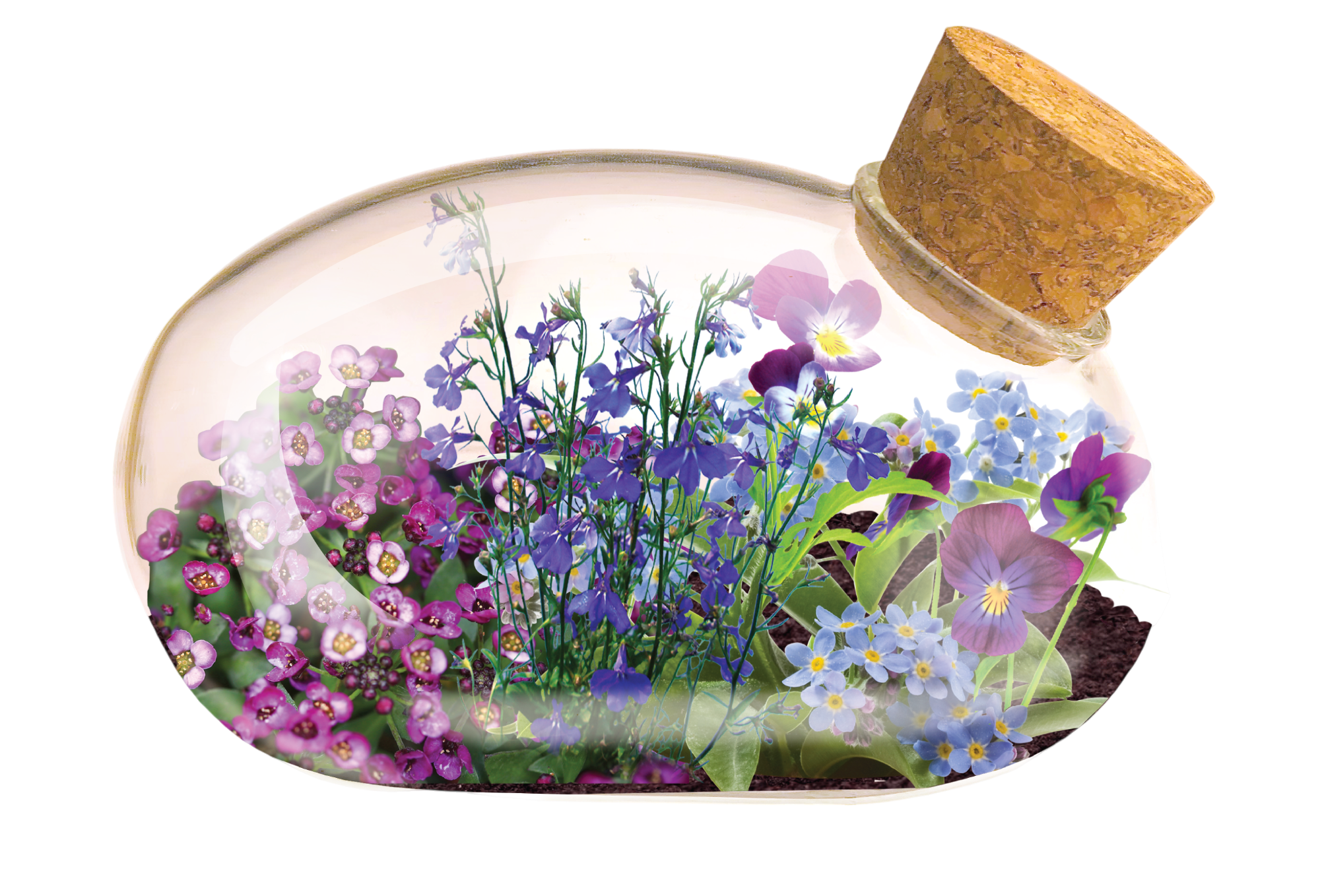 The Flowering Mouse Garden Glass Terrarium with Cork product image 2