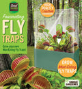 Venus Fly Trap Seed Square Terrarium product image 1