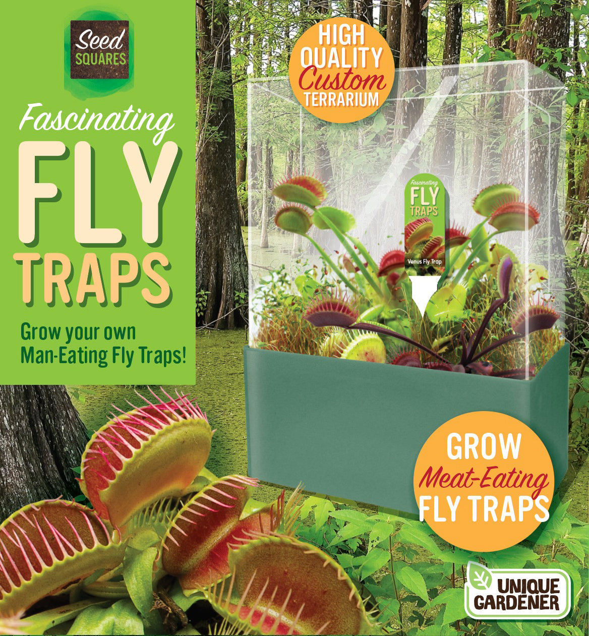 Venus Fly Trap Seed Square Terrarium product image 1