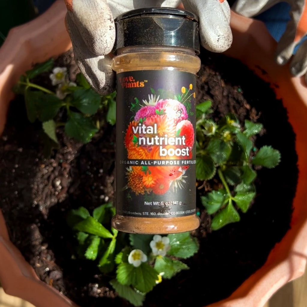 Vital Nutrient Boost product image 3