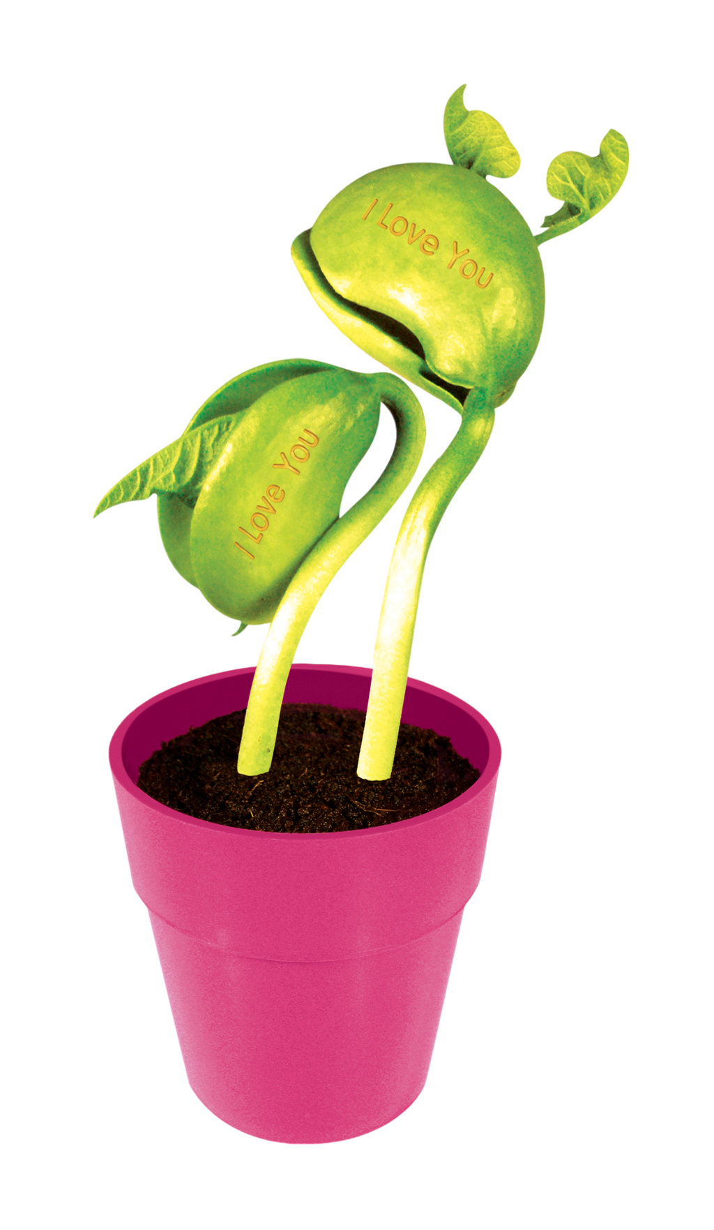 I Love You Bean Terrarium — product image 6