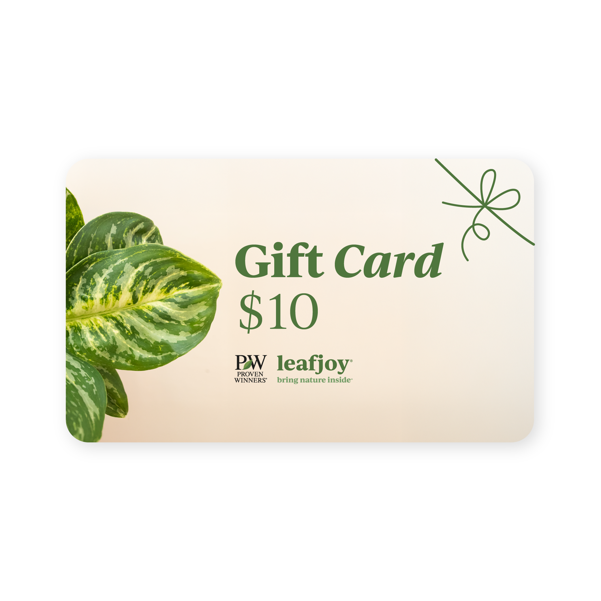 leafjoy Gift Card product image 1