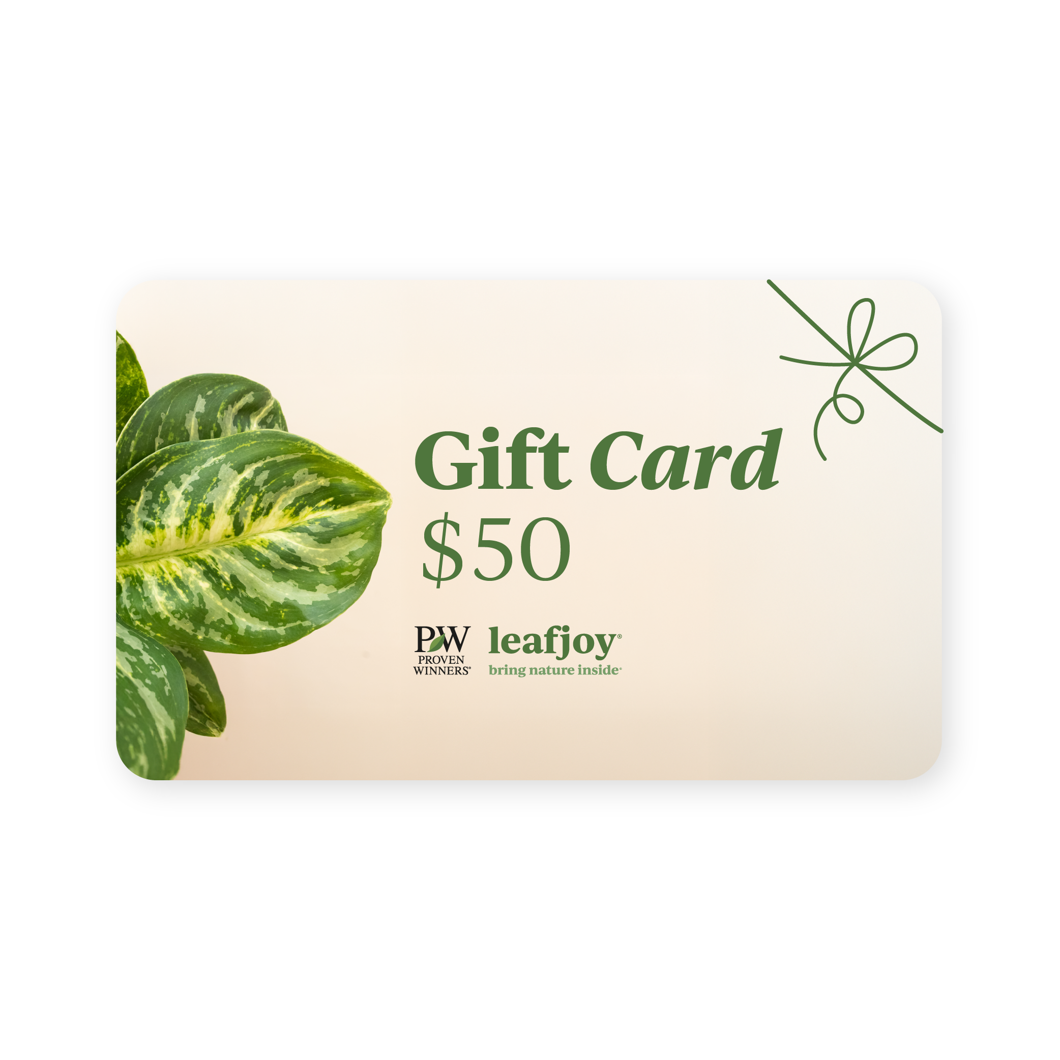 leafjoy Gift Card product image 3