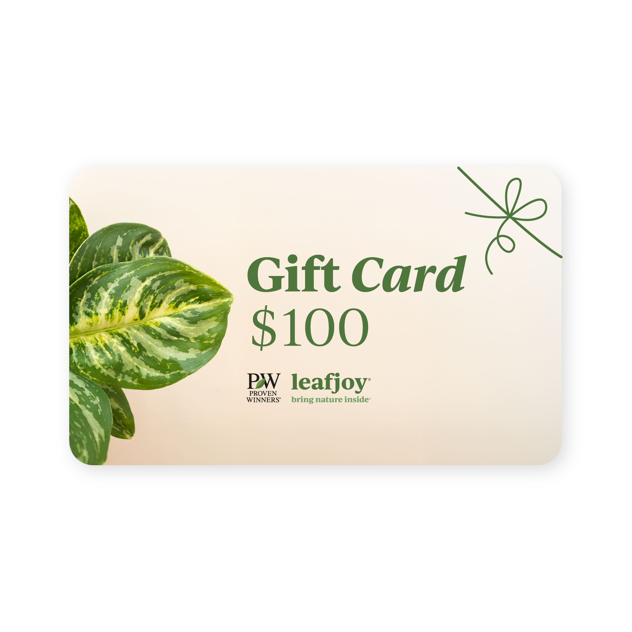 leafjoy Gift Card product image 4