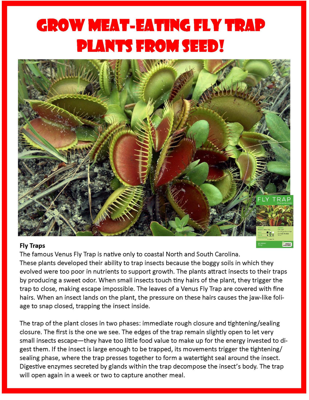 Fred 'The Ferocious' Flytrap Micro Dome Terrarium product image 7