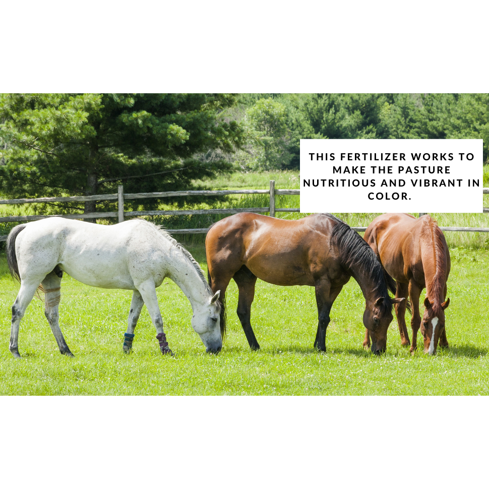 Hay & Pasture Formula - Organic Pasture Fertilizer with Humic Acid & Fulvic Acid product image 4