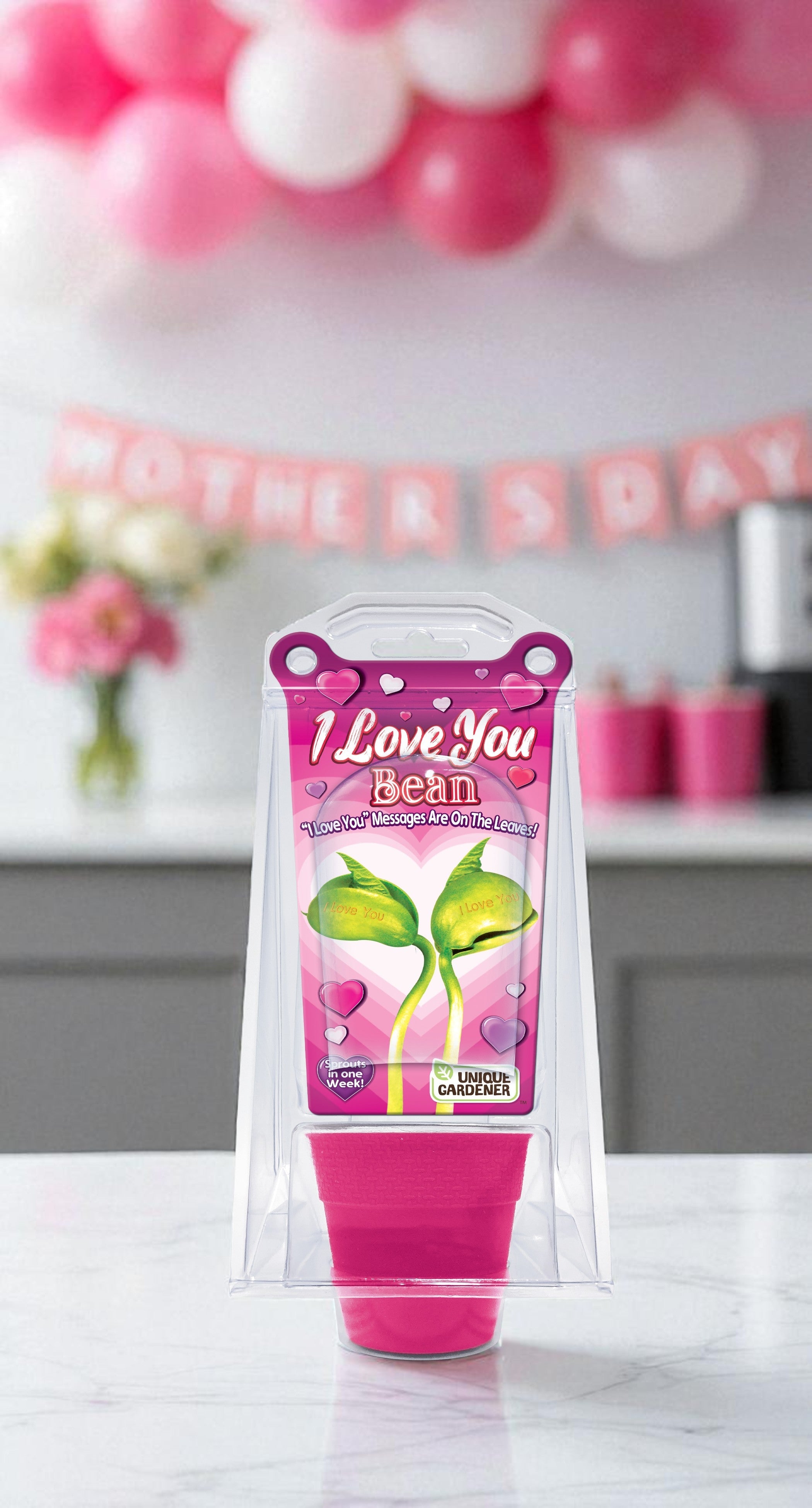 I Love You Bean Terrarium — product image 5