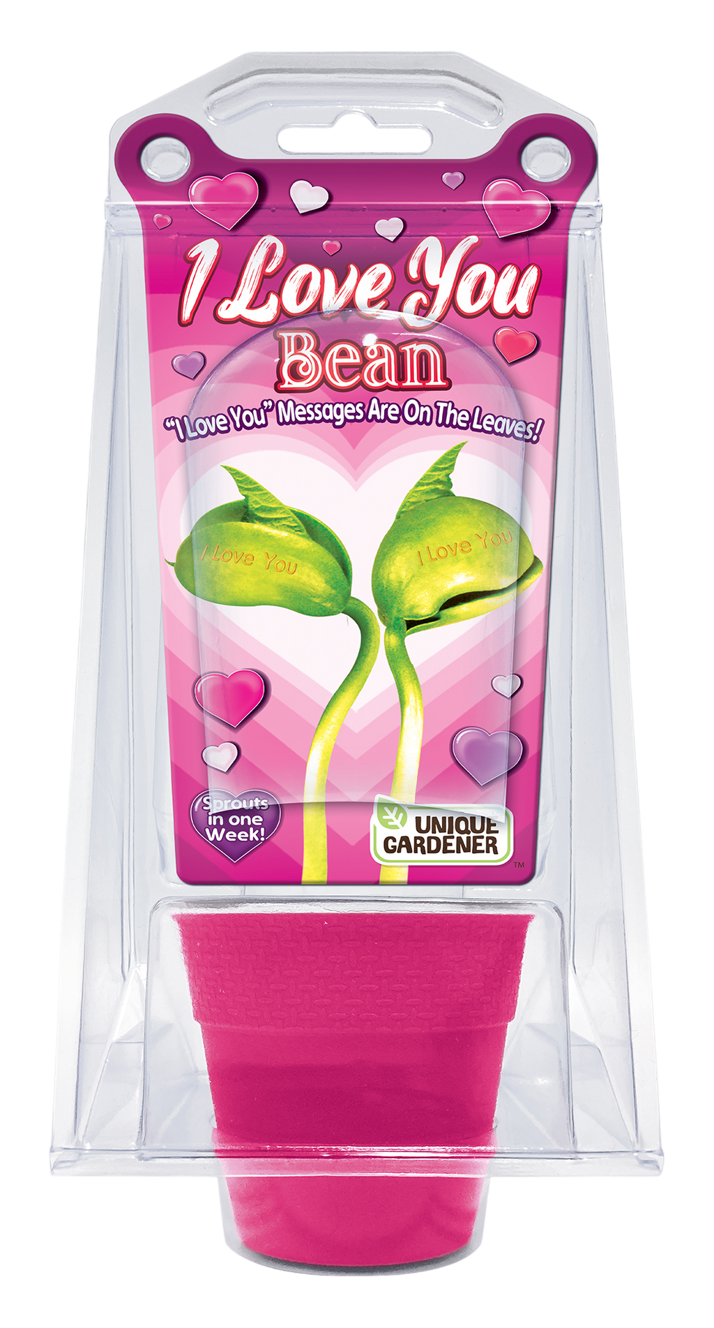 I Love You Bean Terrarium — product image 1