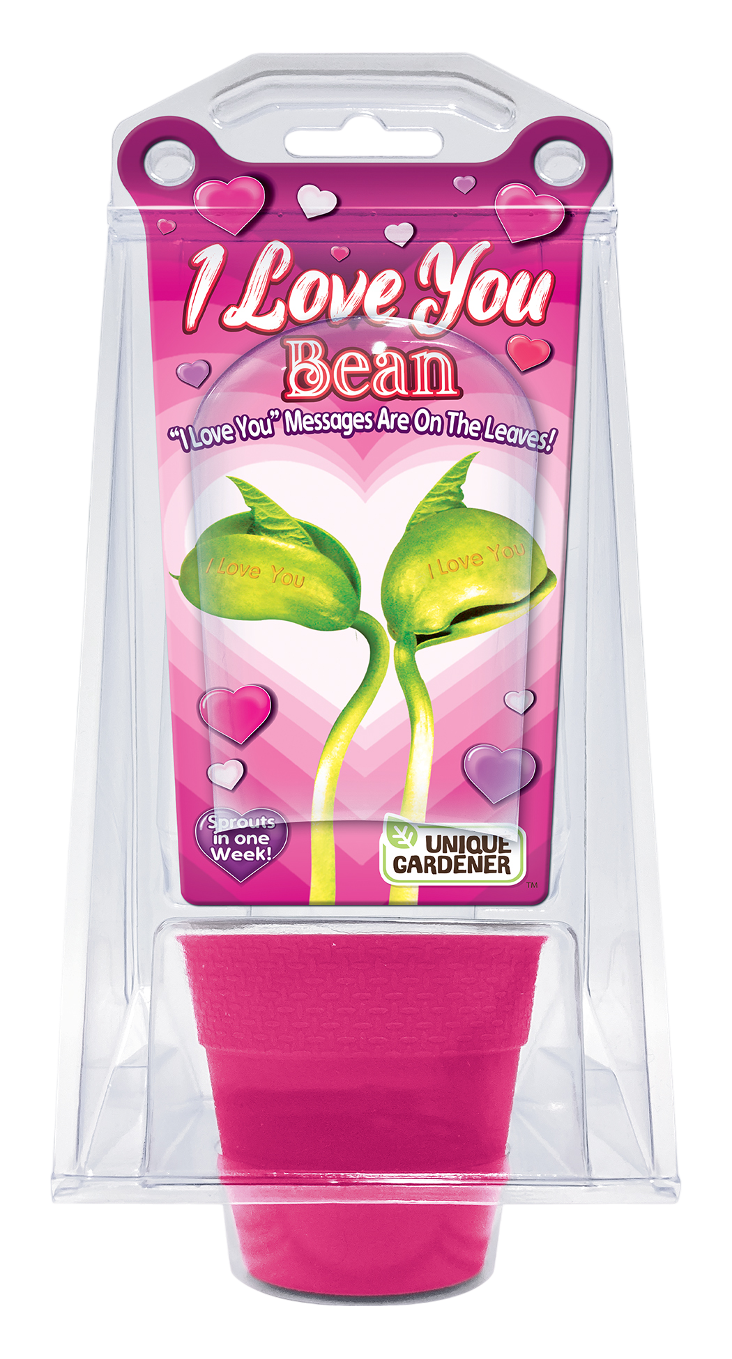 I Love You Bean Terrarium — product image 1