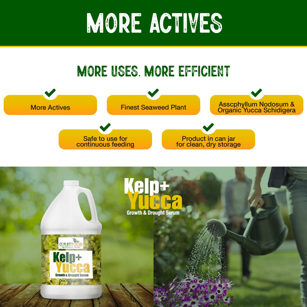 Kelp + Yucca – Organic Soil Moisture Retainer & Plant Growth Enhancer – Seaweed + Yucca Extract Blend for Stronger Roots, Better Water Absorption & Stress Resistance product image 7