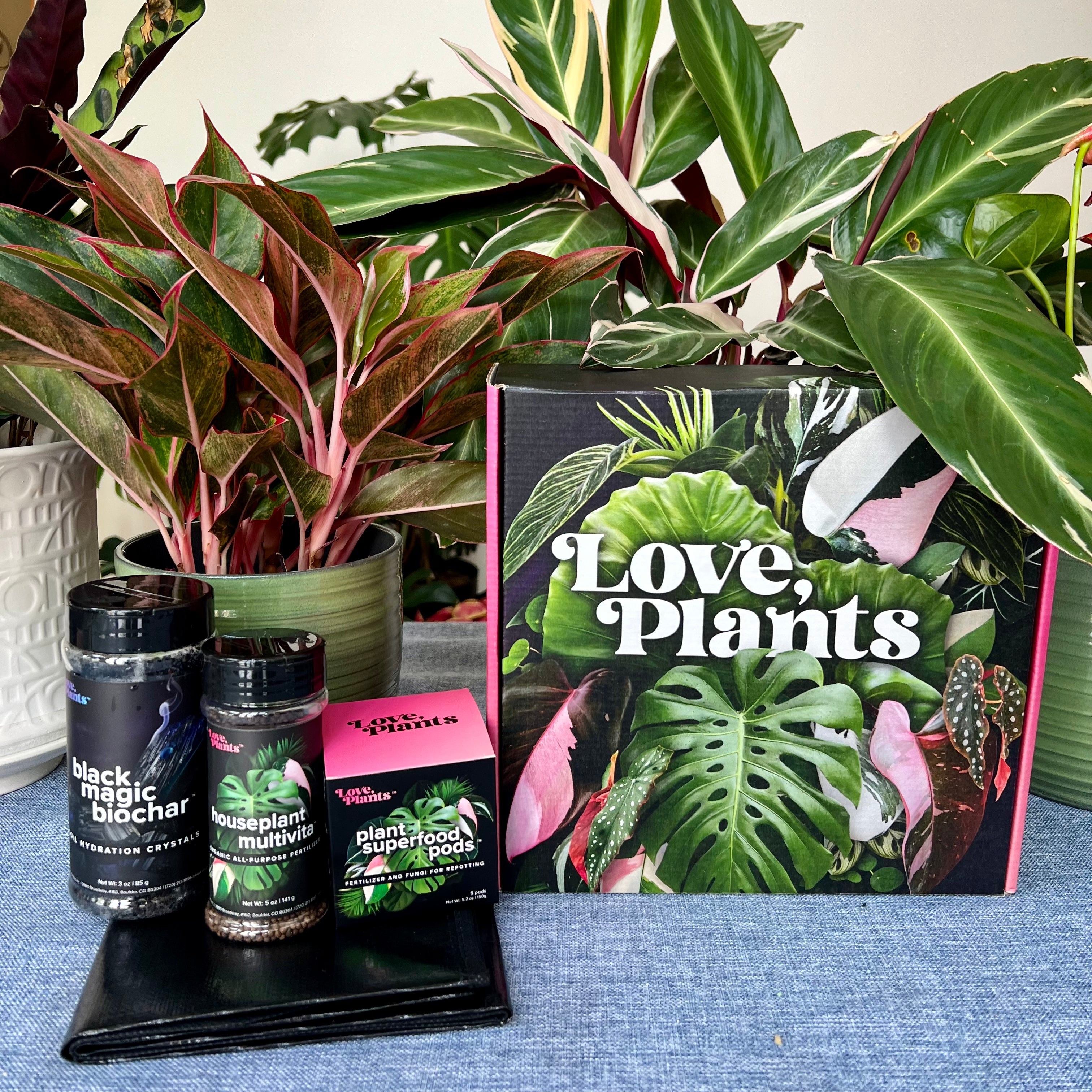 Houseplant Repotting Kit product image 4