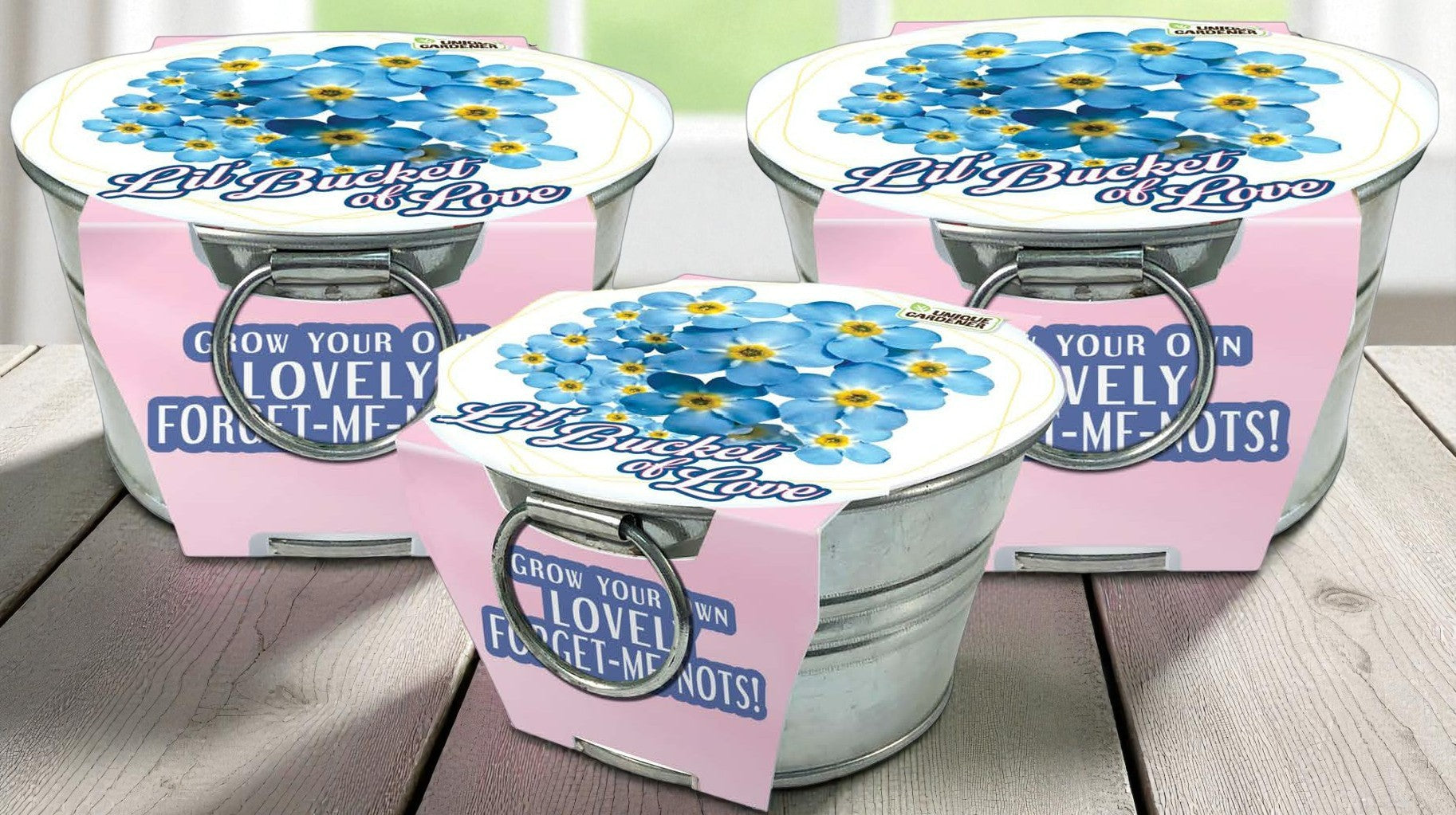 Lil' Bucket of Love - Grow Your Own Forget-Me-Nots Multipack of 3 — product image 2