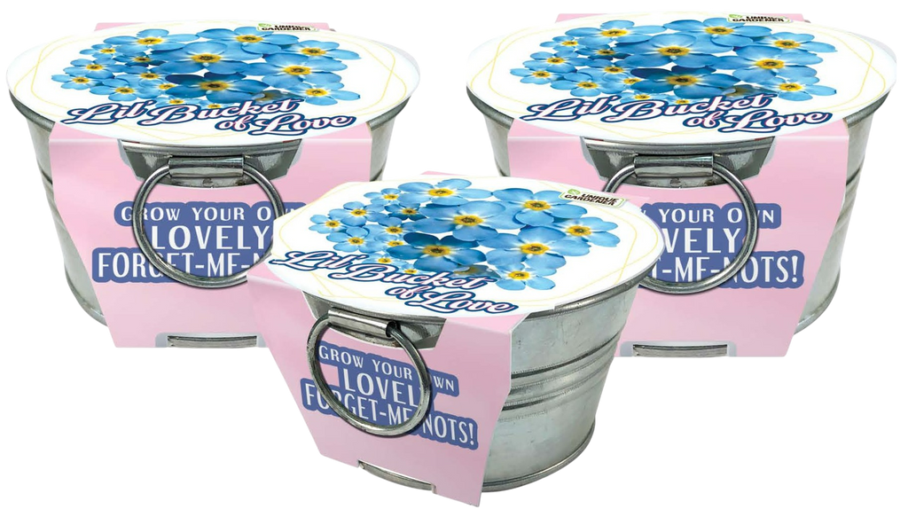 Lil' Bucket of Love - Grow Your Own Forget-Me-Nots Multipack of 3 — product image 1