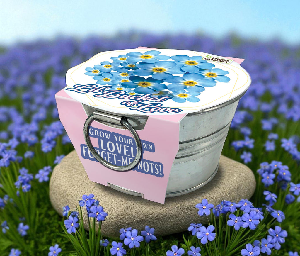 Lil' Bucket of Love - Grow Your Own Forget-Me-Nots Multipack of 3 — product image 3