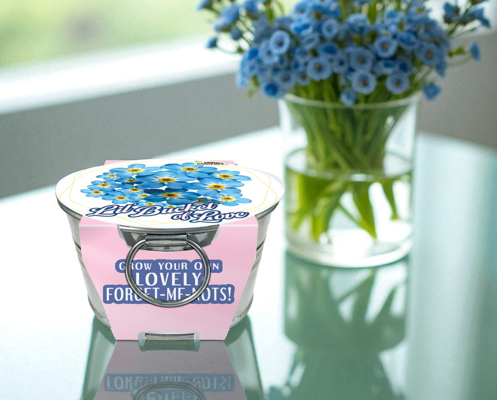 Lil' Bucket of Love - Grow Your Own Forget-Me-Nots Multipack of 3 — product image 4