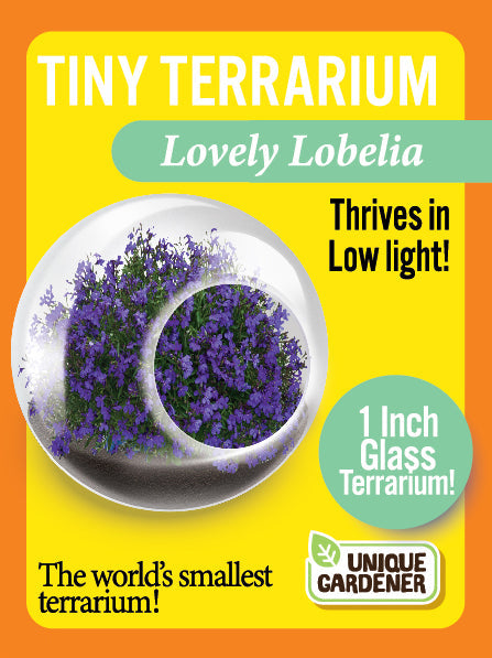 Flowering Tiny Terrariums Bundle - 1 each of 6 Varieties — product image 10