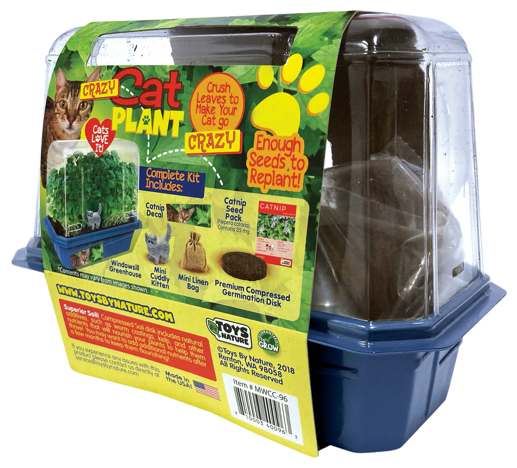 Crazy Cat Plant Mini World Terrarium product image 5