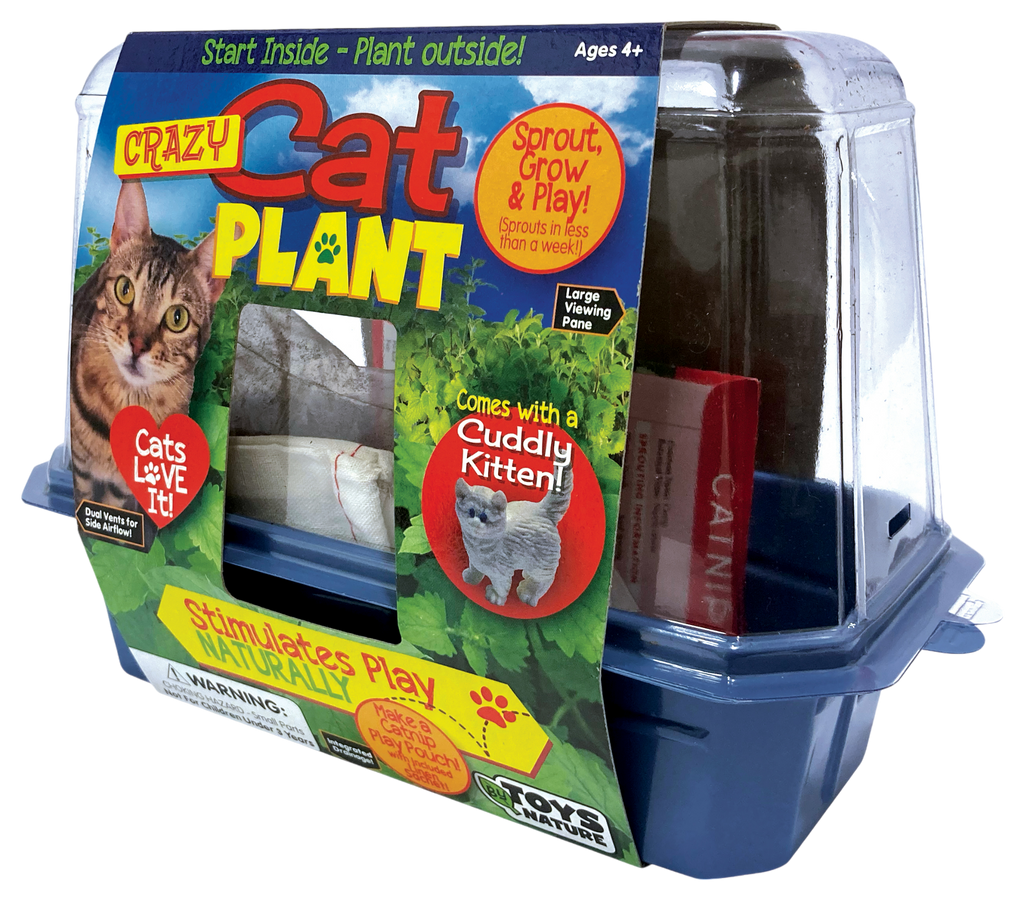 Crazy Cat Plant Mini World Terrarium product image 4