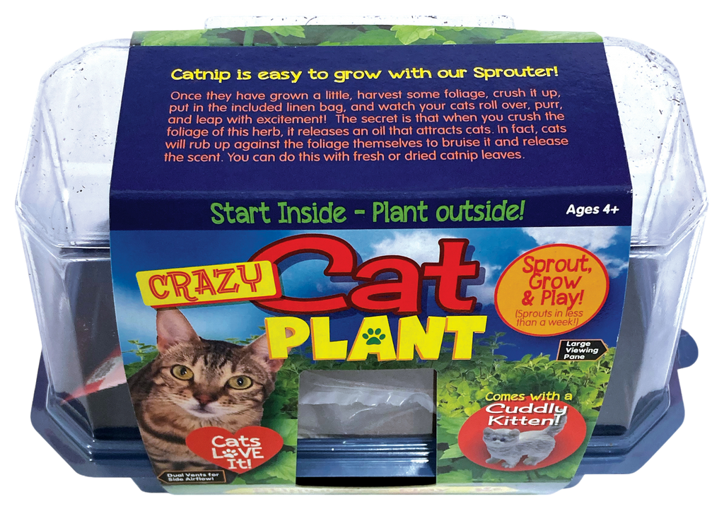 Crazy Cat Plant Mini World Terrarium product image 6