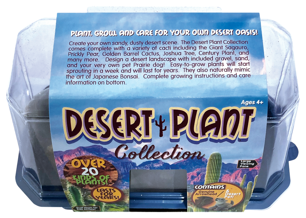 Desert Plant Collection Mini World Terrarium product image 5