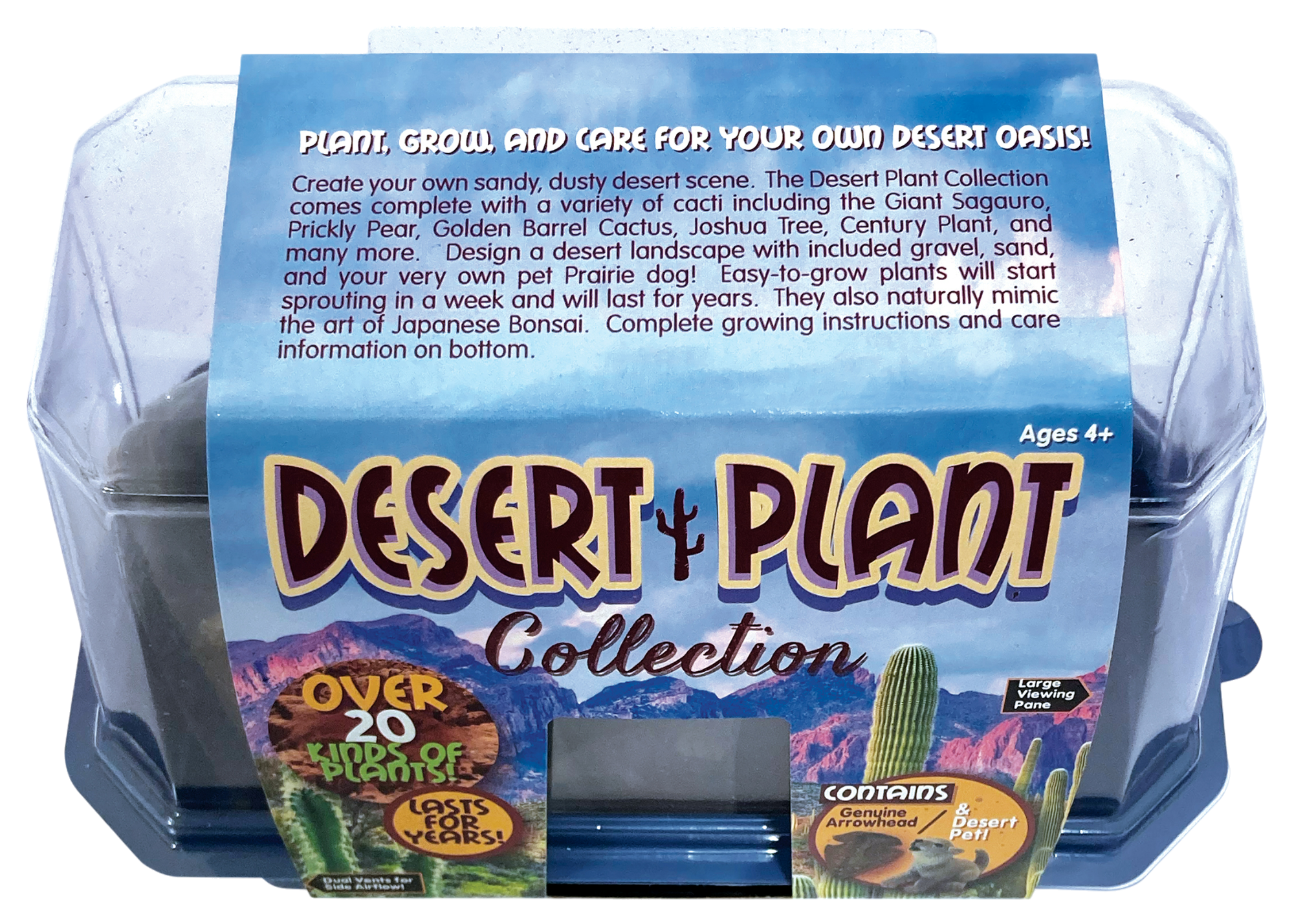 Desert Plant Collection Mini World Terrarium product image 5