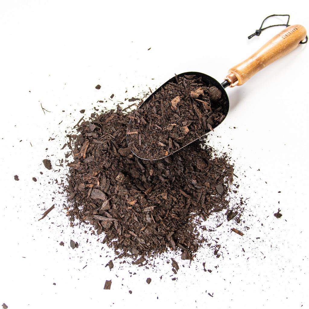 Magic Mushroom Compost product image 2