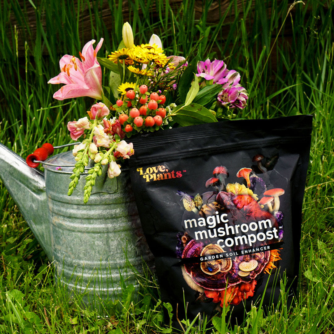Magic Mushroom Compost product image 5