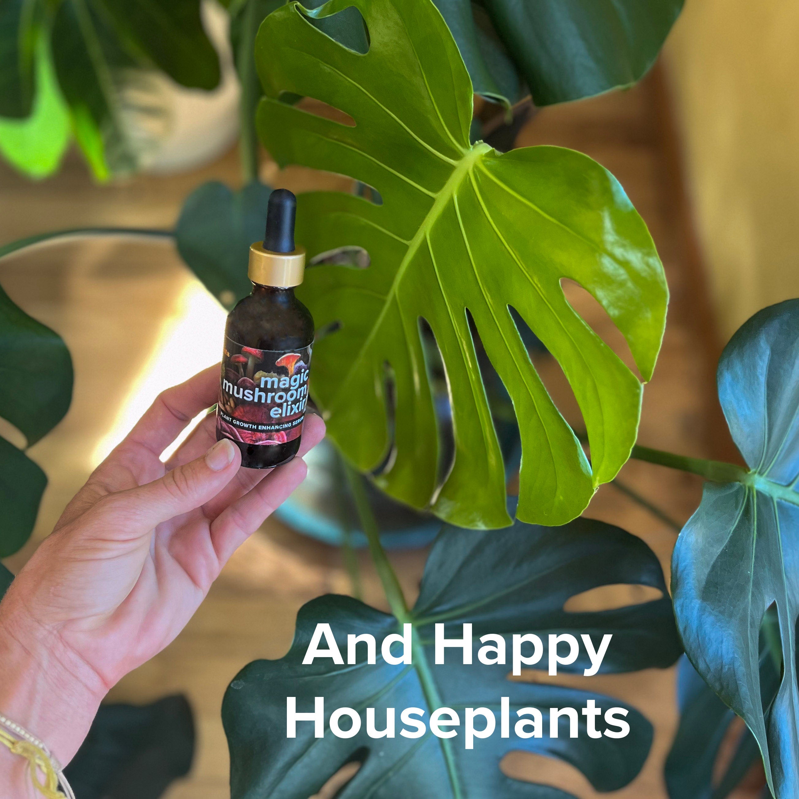 Magic Mushroom Elixir product image 3