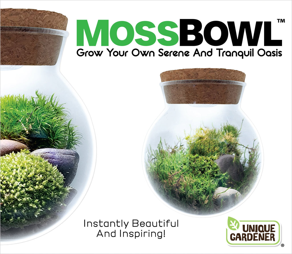 MossBowl- Grow Your Own Beautiful Moss Garden, Complete Kit Come with 3 Mosses! — product image 4