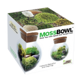 MossBowl- Grow Your Own Beautiful Moss Garden, Complete Kit Come with 3 Mosses! — product image 1