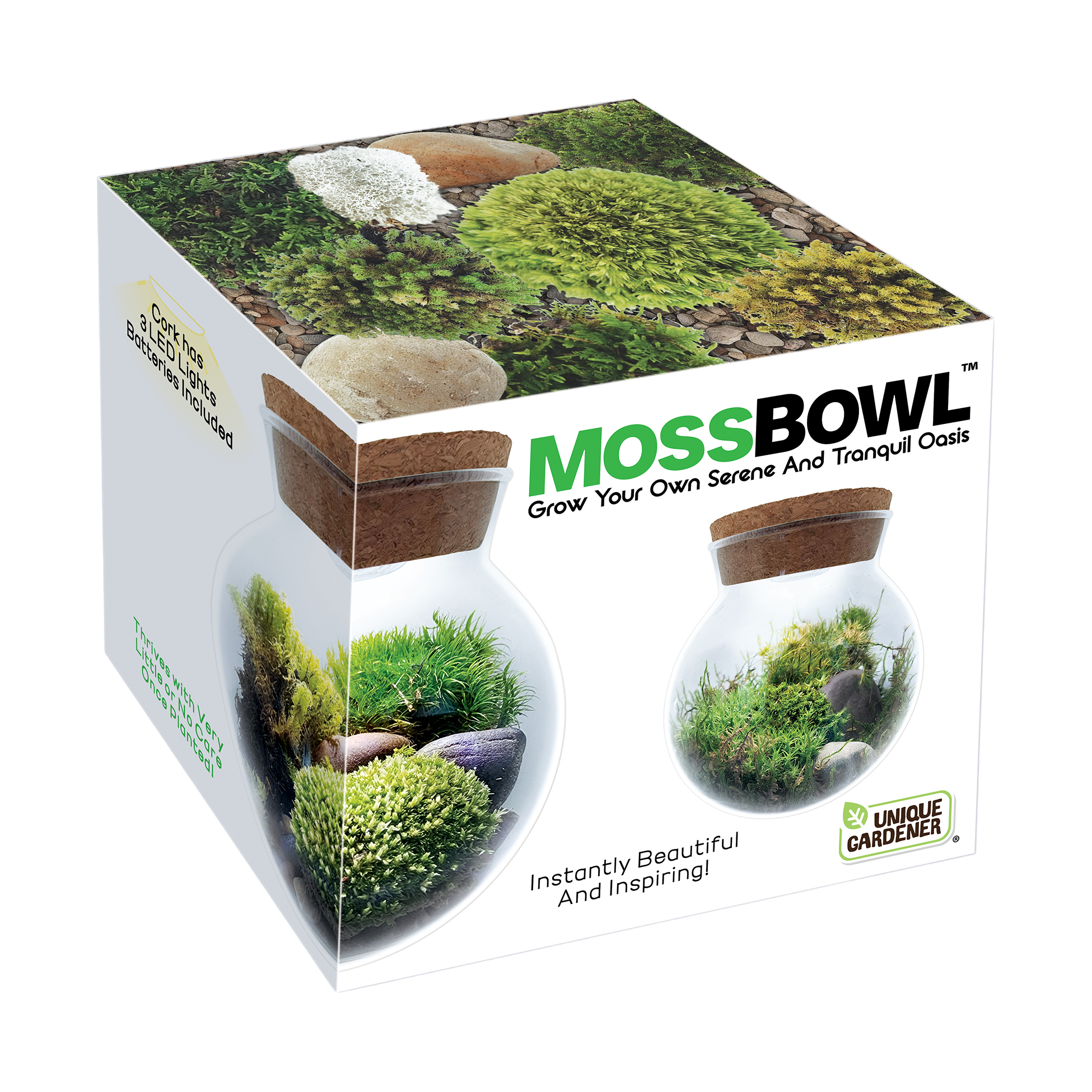 MossBowl- Grow Your Own Beautiful Moss Garden, Complete Kit Come with 3 Mosses! — product image 1