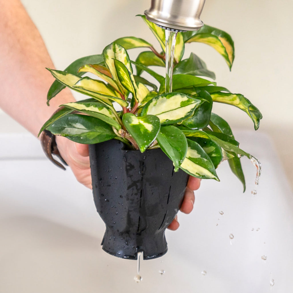 Ceramic Plant Pot with Rubber Liner - Forest Green product image 3
