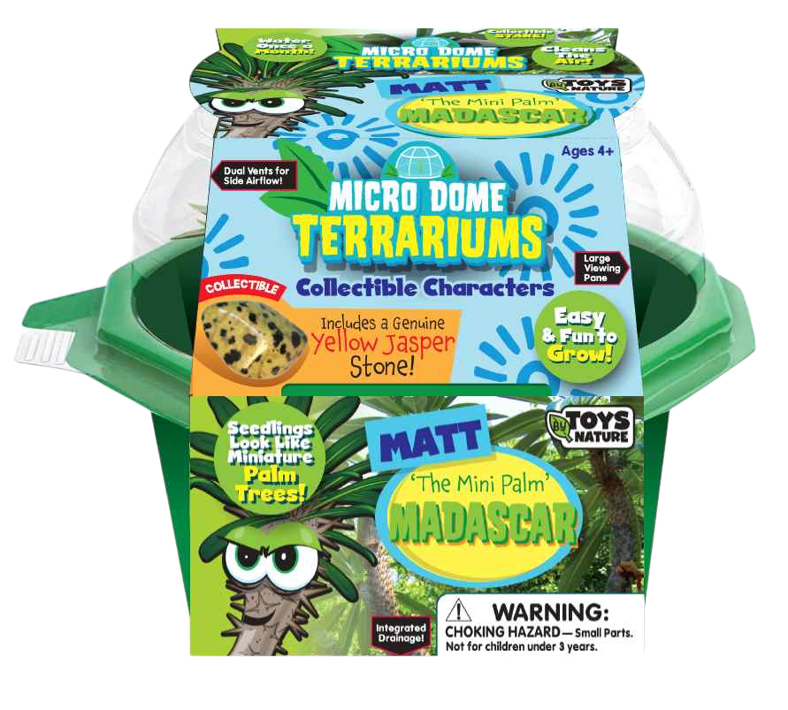 Matt 'The Mini Palm' Madagascar Micro Dome Terrarium product image 1