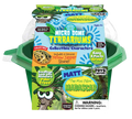 Matt 'The Mini Palm' Madagascar Micro Dome Terrarium product image 1