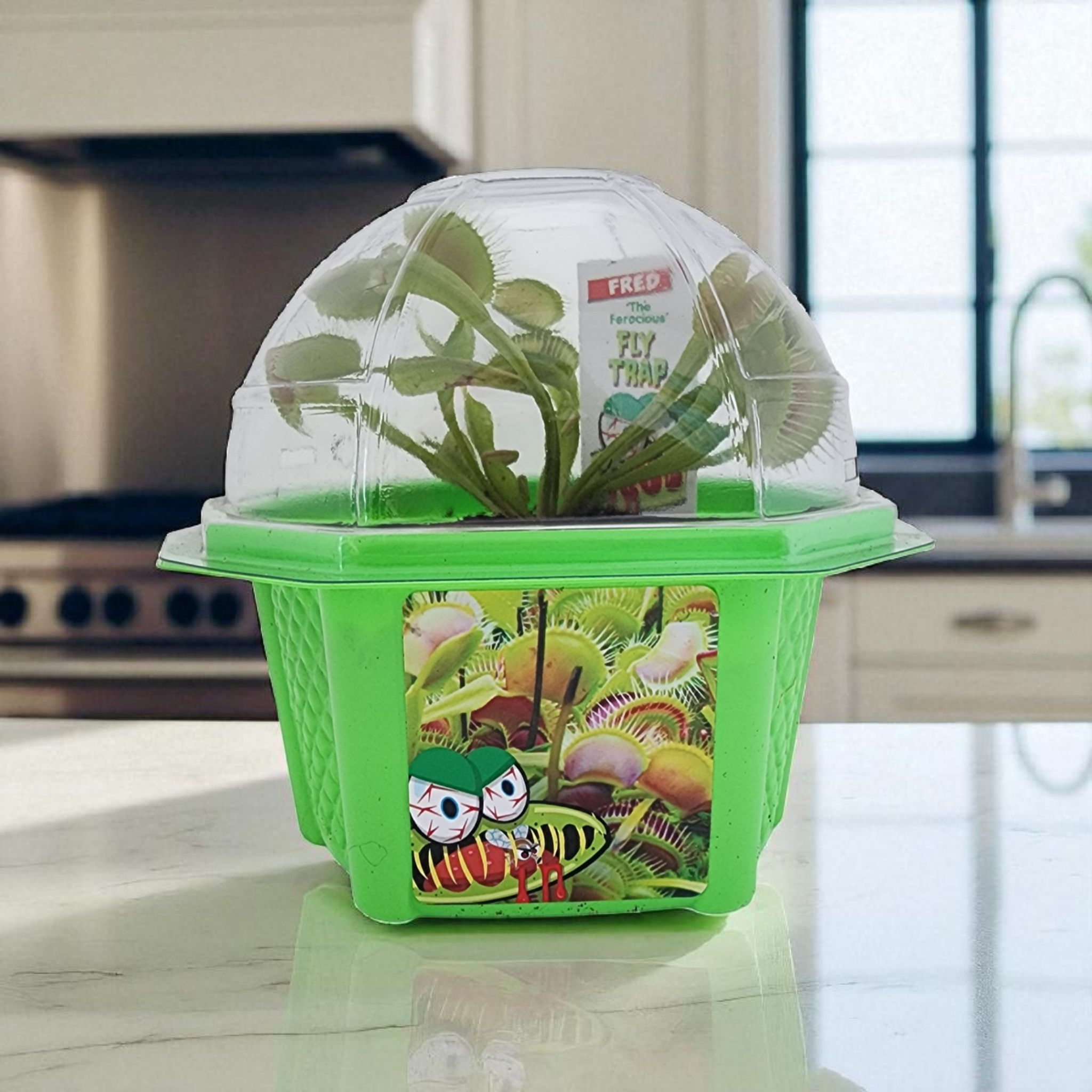Fred 'The Ferocious' Flytrap Micro Dome Terrarium product image 6