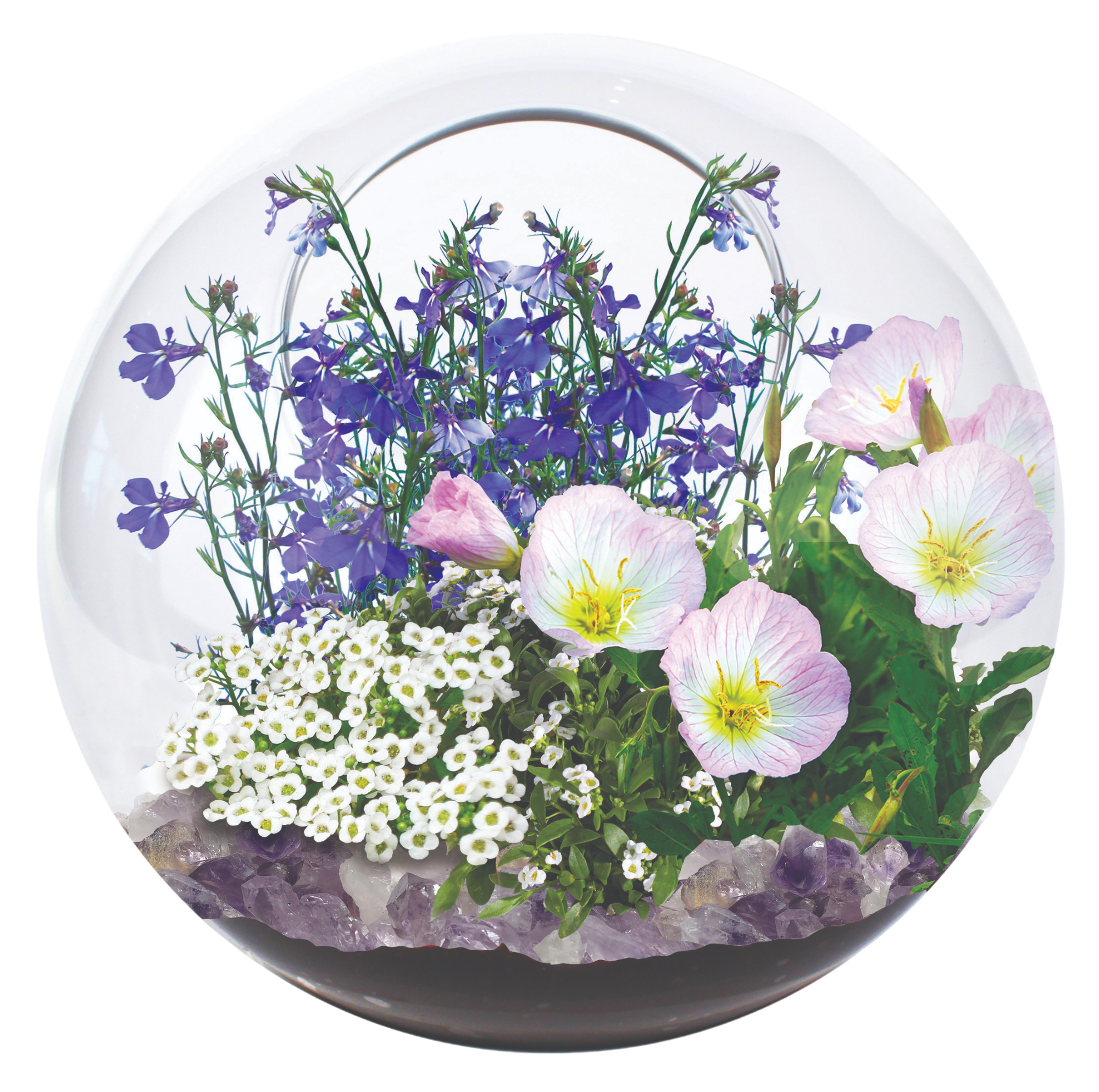 Fairy Triad Glass Terrarium Seed Starting Kit — product image 4