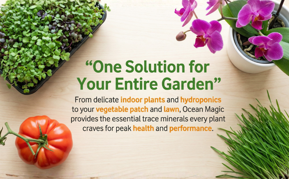 Ocean Magic Sea Minerals product image 13