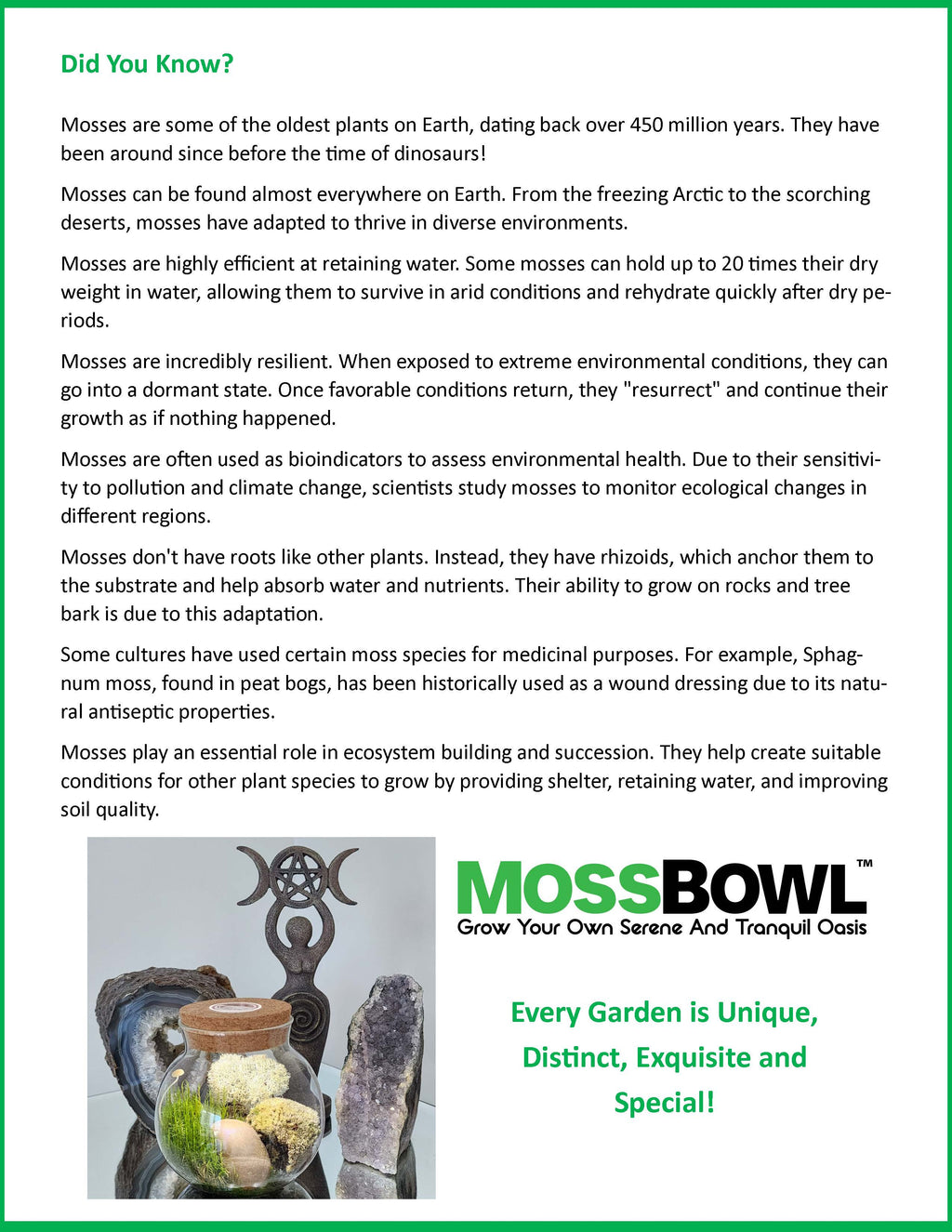 MossBowl- Grow Your Own Beautiful Moss Garden, Complete Kit Come with 3 Mosses! — product image 11