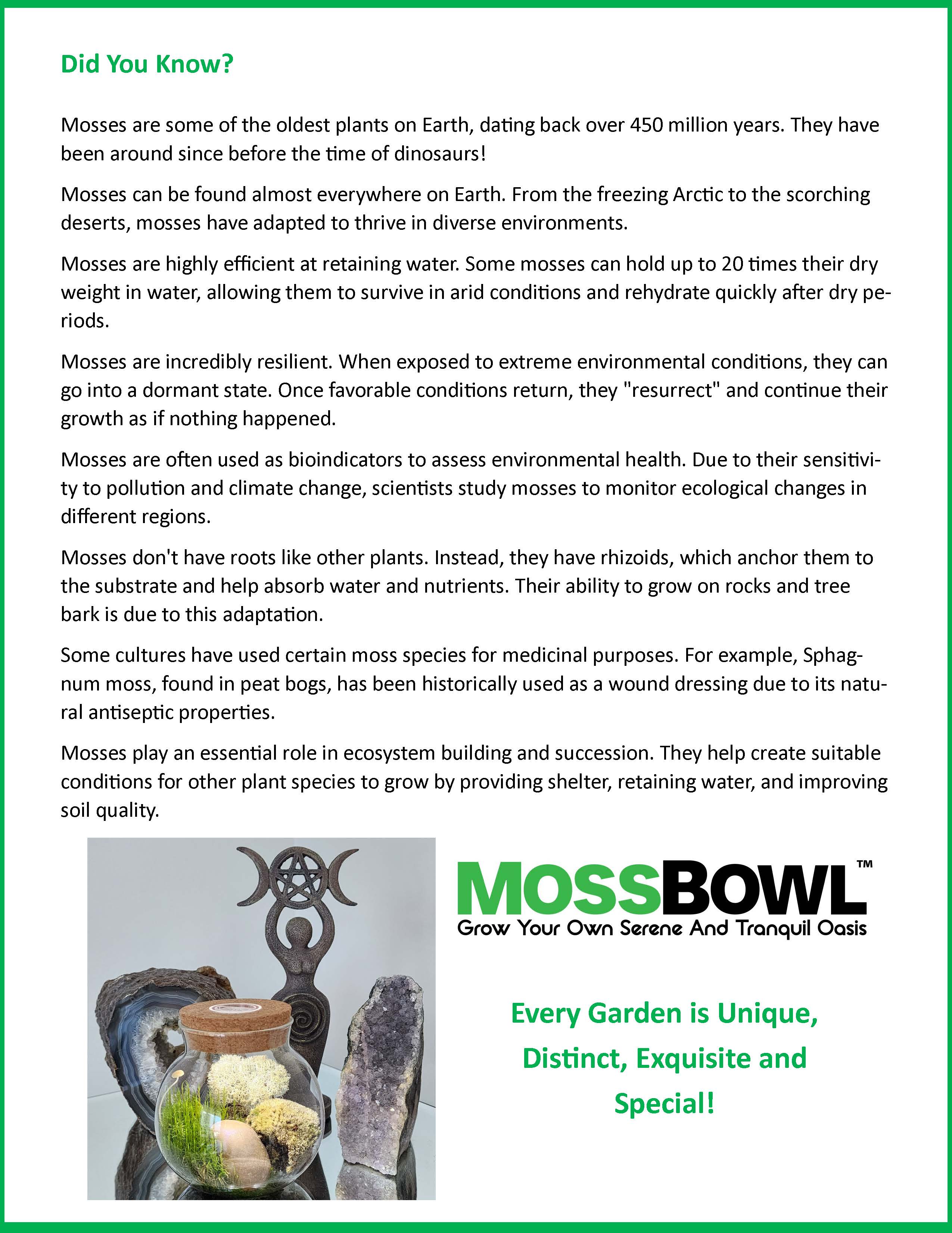 MossBowl- Grow Your Own Beautiful Moss Garden, Complete Kit Come with 3 Mosses! — product image 11