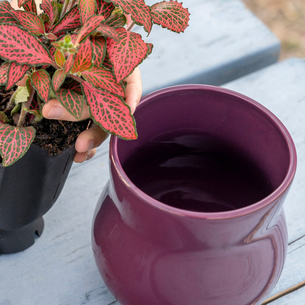 Ceramic Plant Pot with Rubber Liner - Violet Purple product image 3